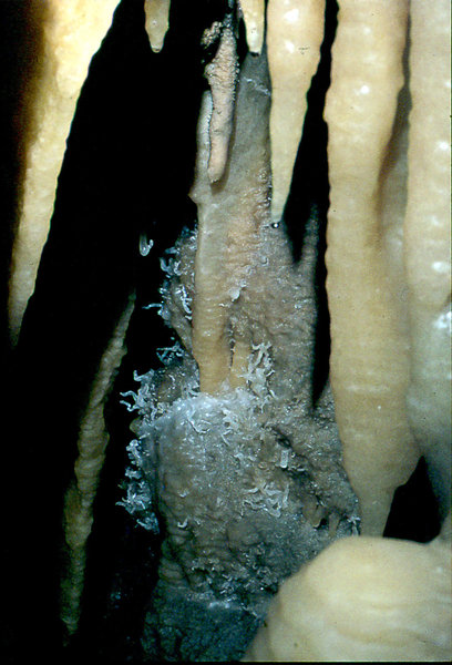 Efflux side system 30th December 1974