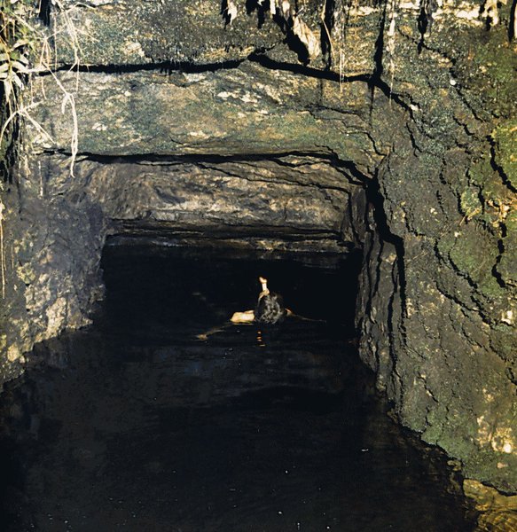 Millwood Mines