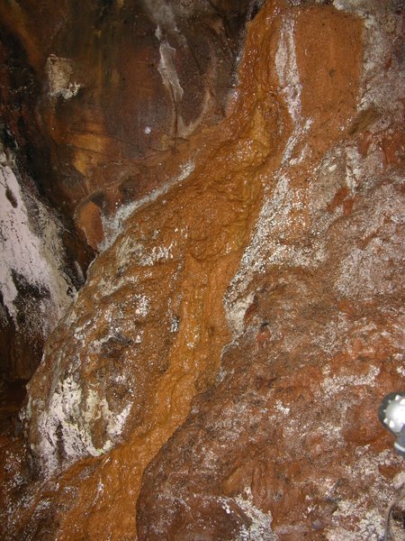 Orange mud formation Otter Trail Guano Cave DSCN1038