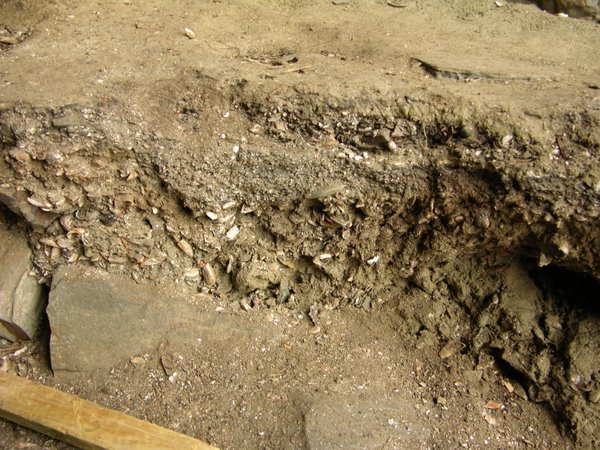 Otter Trail Guano Cave midden DSCN1030