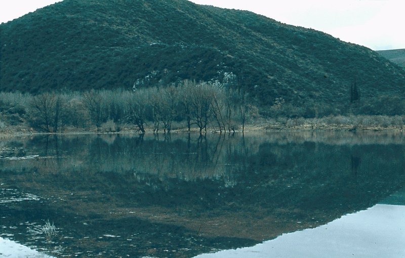 More Rubber Hammer Dam