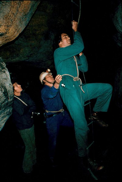 Florus Koper and Dennis Macdonald   Boomslang