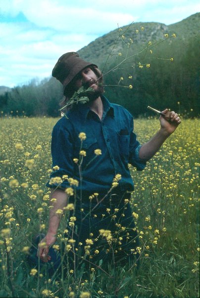 Apple near Melville House