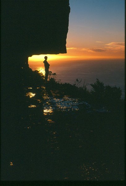 Suzanne van Zyl   Table Mountain