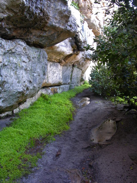 Clovelly Cave rescue practice in progress DSCN5252