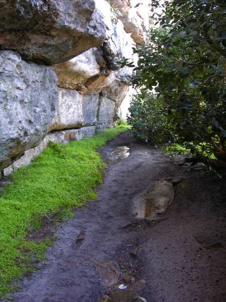 Clovelly Cave rescue practice in progress DSCN5255
