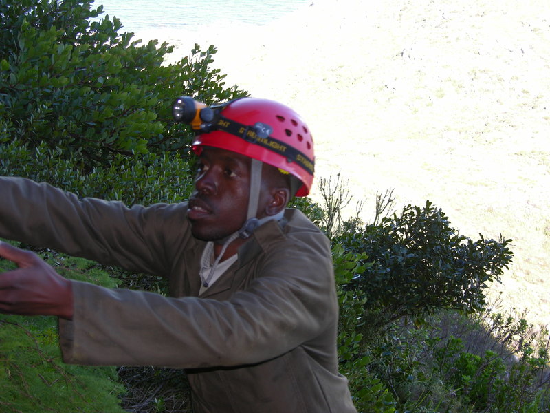 Clovelly Cave rescue practice in progress DSCN5294