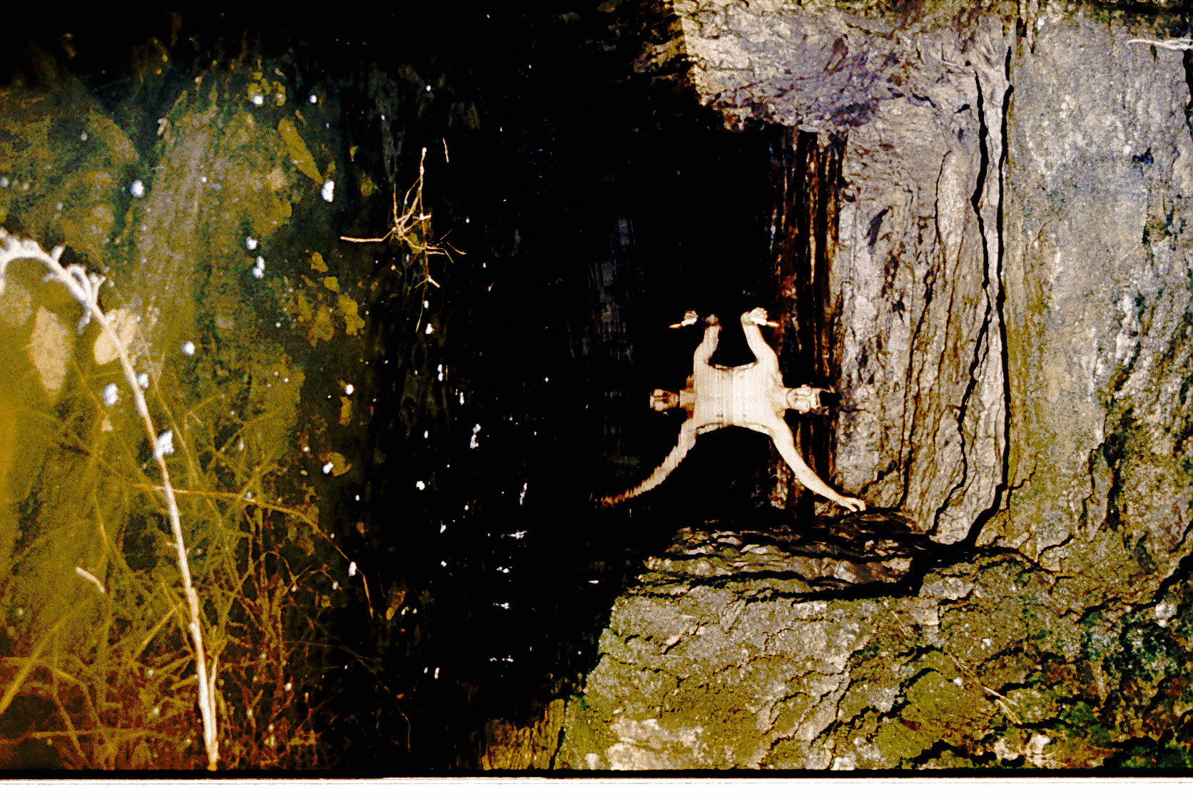 scan0012